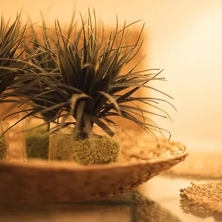 Ark Luxury & Private Vilă *